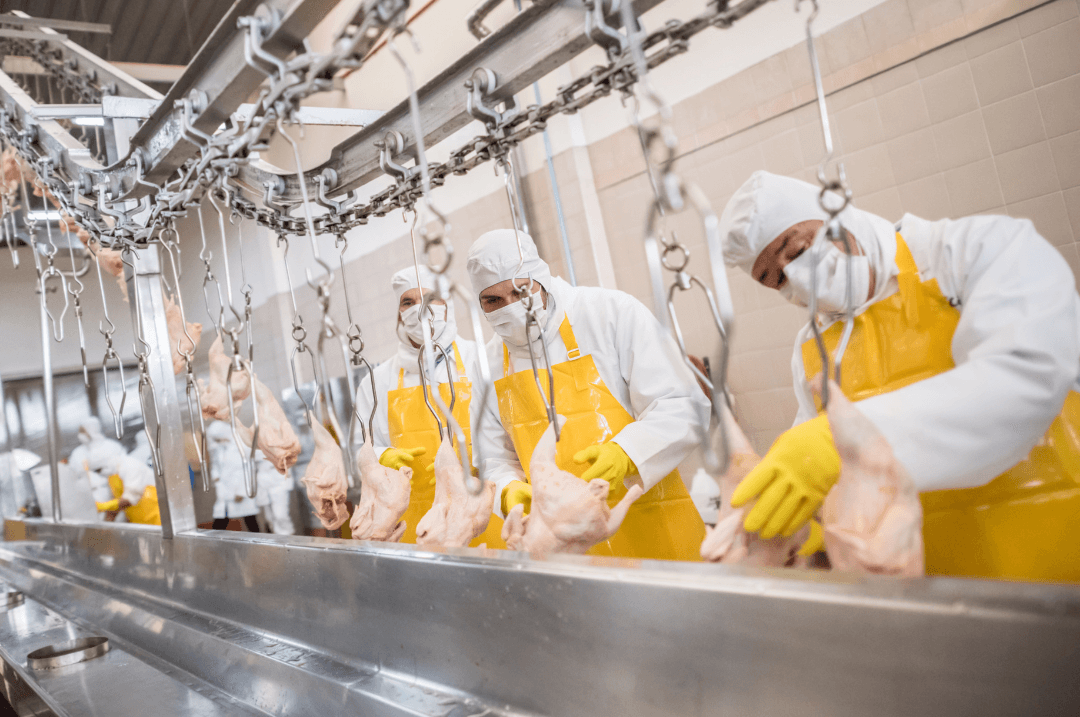 formation haccp hygiène alimentaire restauration, EhPAD, cantine etc.